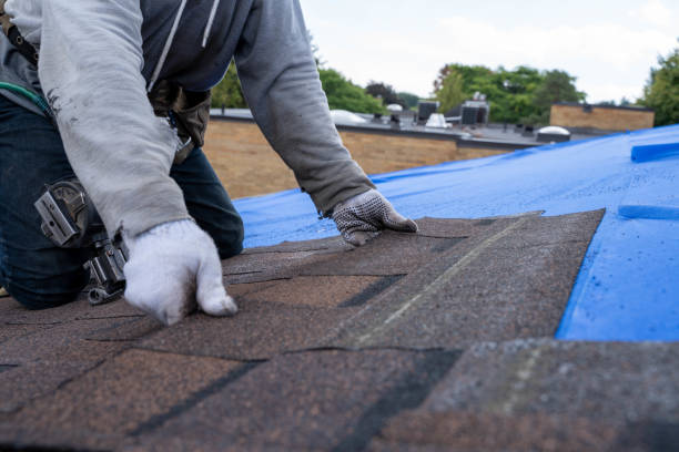 Best Storm Damage Roof Repair  in Steelton, PA